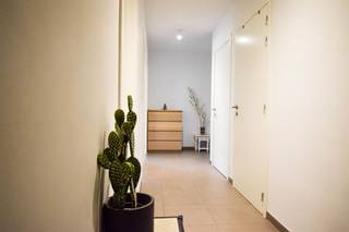 Aan de rand van de stad, met een uitstekende ontsluiting naar Gent of Antwerpen, dit ruim appartement op de eerste verdieping (lift aanwezig)...