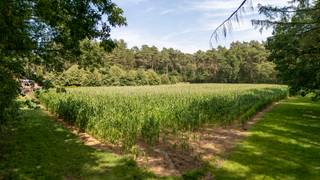 Bouwland van ca. 7995m² op grens met Vorselaar
