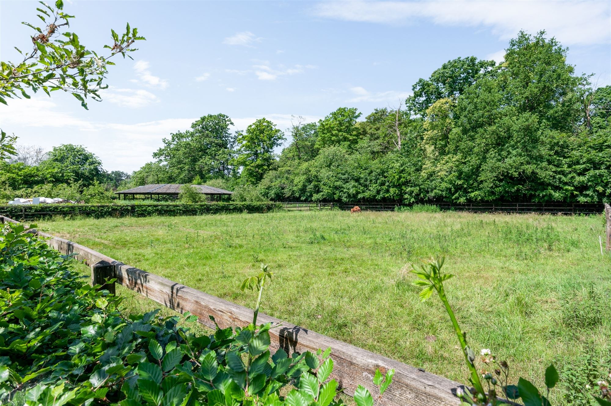 Centrally located equestrian accommodation - photo 4