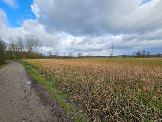 ! IN OPTIE - COMPROMIS IN OPMAAK ! <br />Perceel landbouwgrond met een trapeziumvormige configuratie en een oppervlakte van ± 85a 10ca. Het akkerland is in gebruik maar niet verpacht. Gvg, Ag, Gmo, Vkr, Gvv. P-score: D - gelegen in een risicozone voor overstromingen.<br /><br />WETTELIJKE VERPLICHTE VERMELDINGEN:<br />Vergunningen: nee<br />Bestemming: agrarisch gebied<br />Geen gerechtelijke maatregelen opgelegd.<br />Voorkooprecht: ja (de Vlaamse Waterweg nv)<br />Verkaveling: nee<br />P-score: D - gelegen in een risicozone voor overstromingen<br />Het perceel is gelegen langsheen de Beek, een geklasseerde waterloop van tweede categorie.<br />Eventuele opmetingskosten zijn ten laste van de koper.