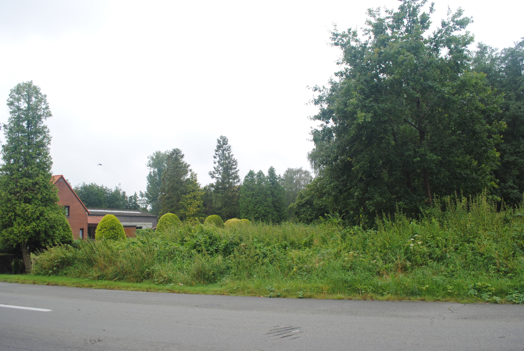 Land for sale in Mol - photo 3