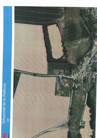 Grond te koop in Petit-Hallet. Oppervlakte: 1ha 89a 42caIdeaal gelegen als paardenweide, afdak ter bescherming zon en regen mogelijk.Er is...