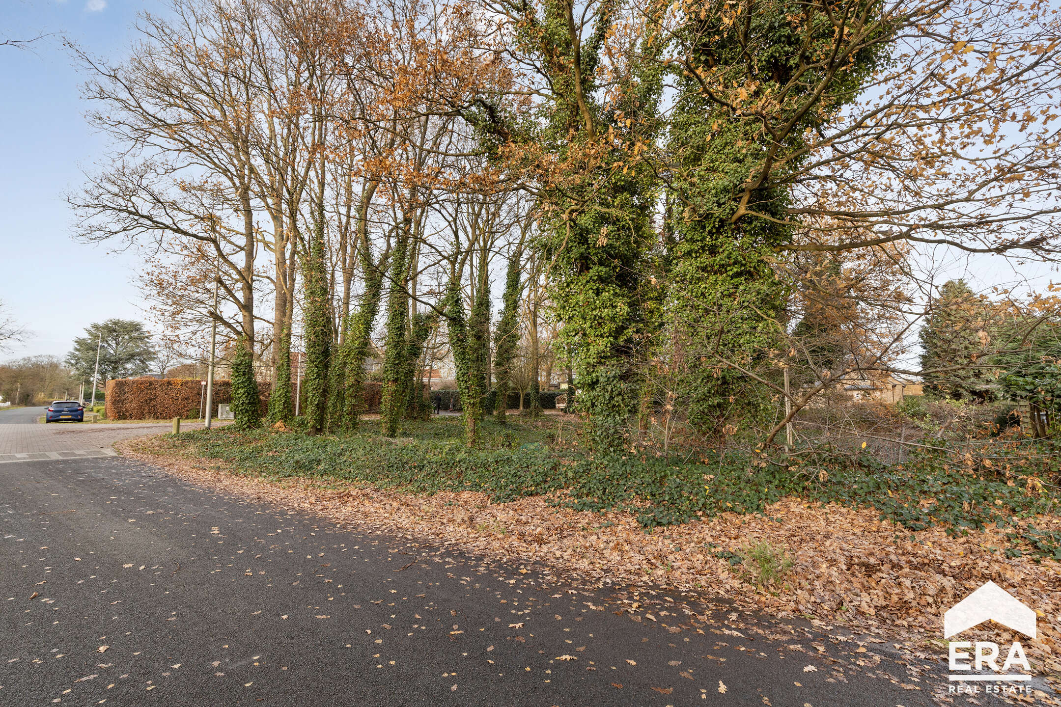 Terrain à vendre à Lommel - photo 3