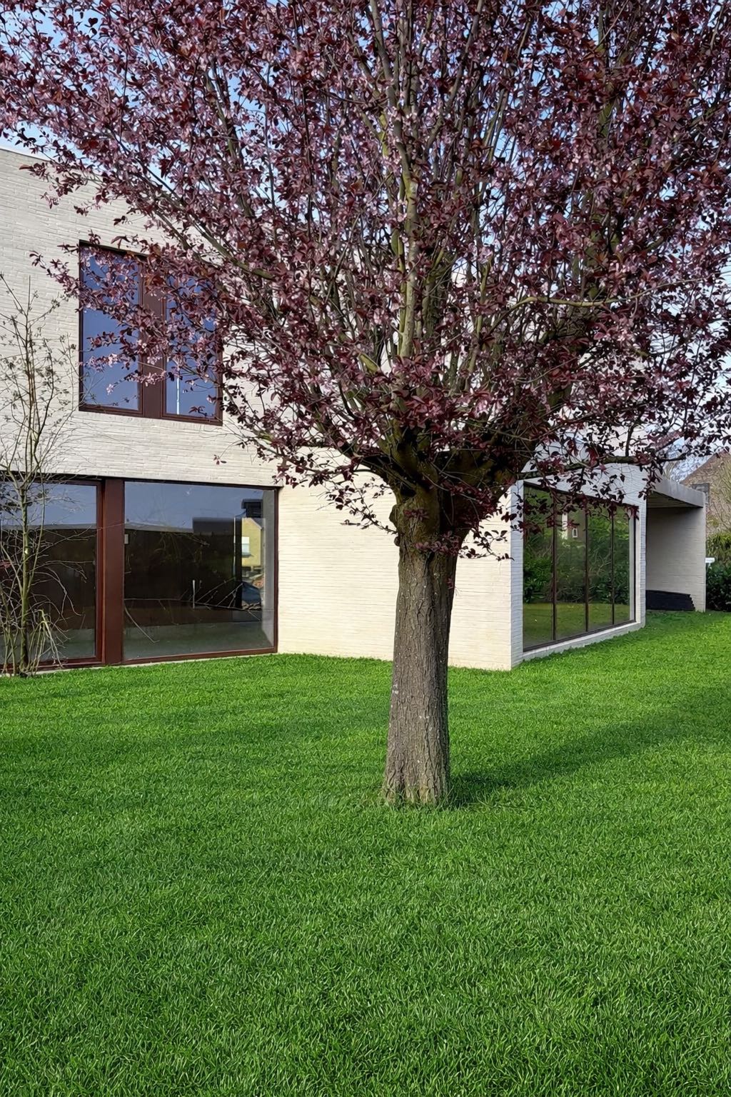 Huis te koop in Tielt met 4 slaapkamers - foto 5