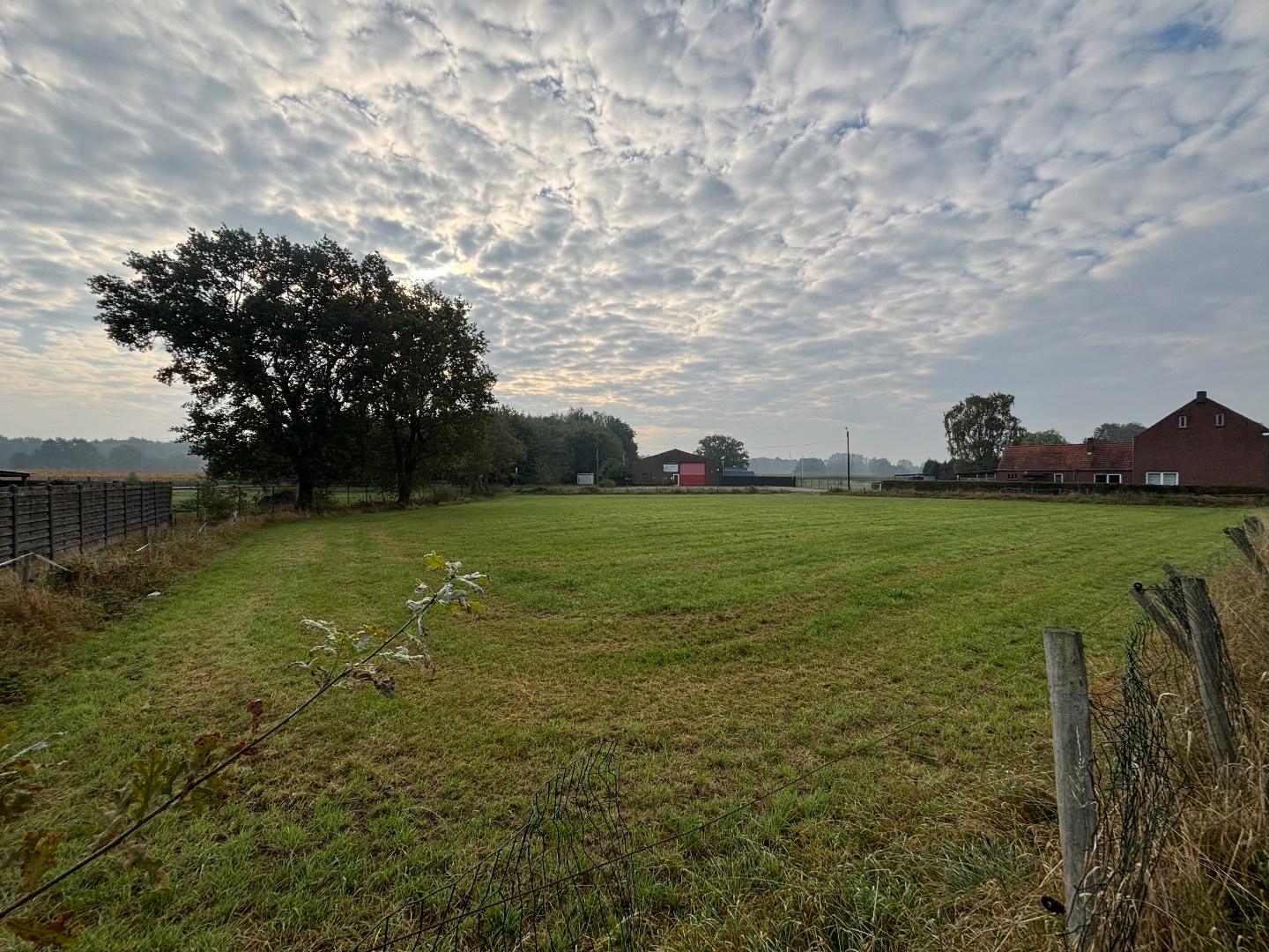 Investeringsgrond van 36a 30ca in Pelt - foto 4