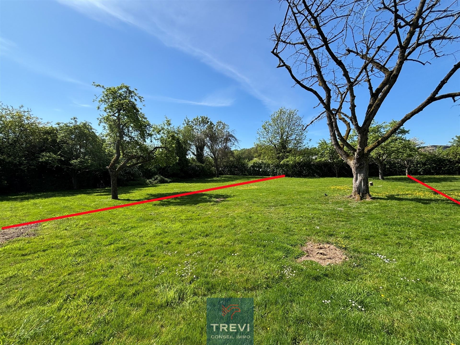 Superbe terrain pour une belle villa - photo 3