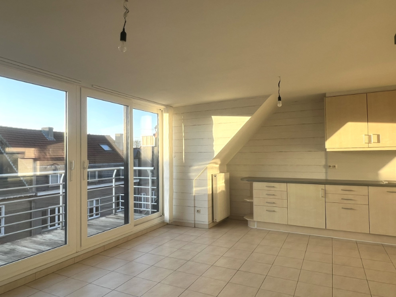 instapklaar dakappartement in Nieuwpoort-Stad - foto 5