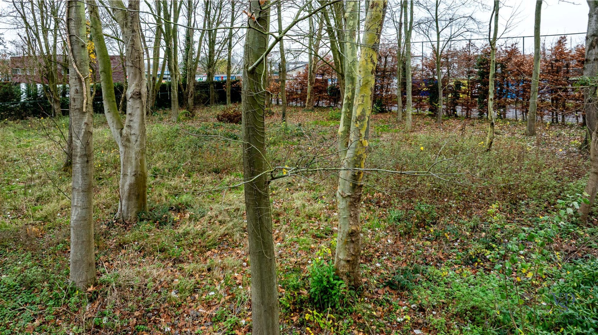 Terrain à vendre à Dikkelvenne - photo 4