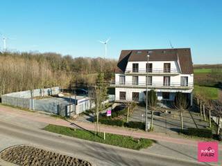 Dit hotel is gelegen in 's Herenelderen, een deelgemeente van Tongeren. Dit charmante hotel beschikt over 14 kamers en een perceel van maar...