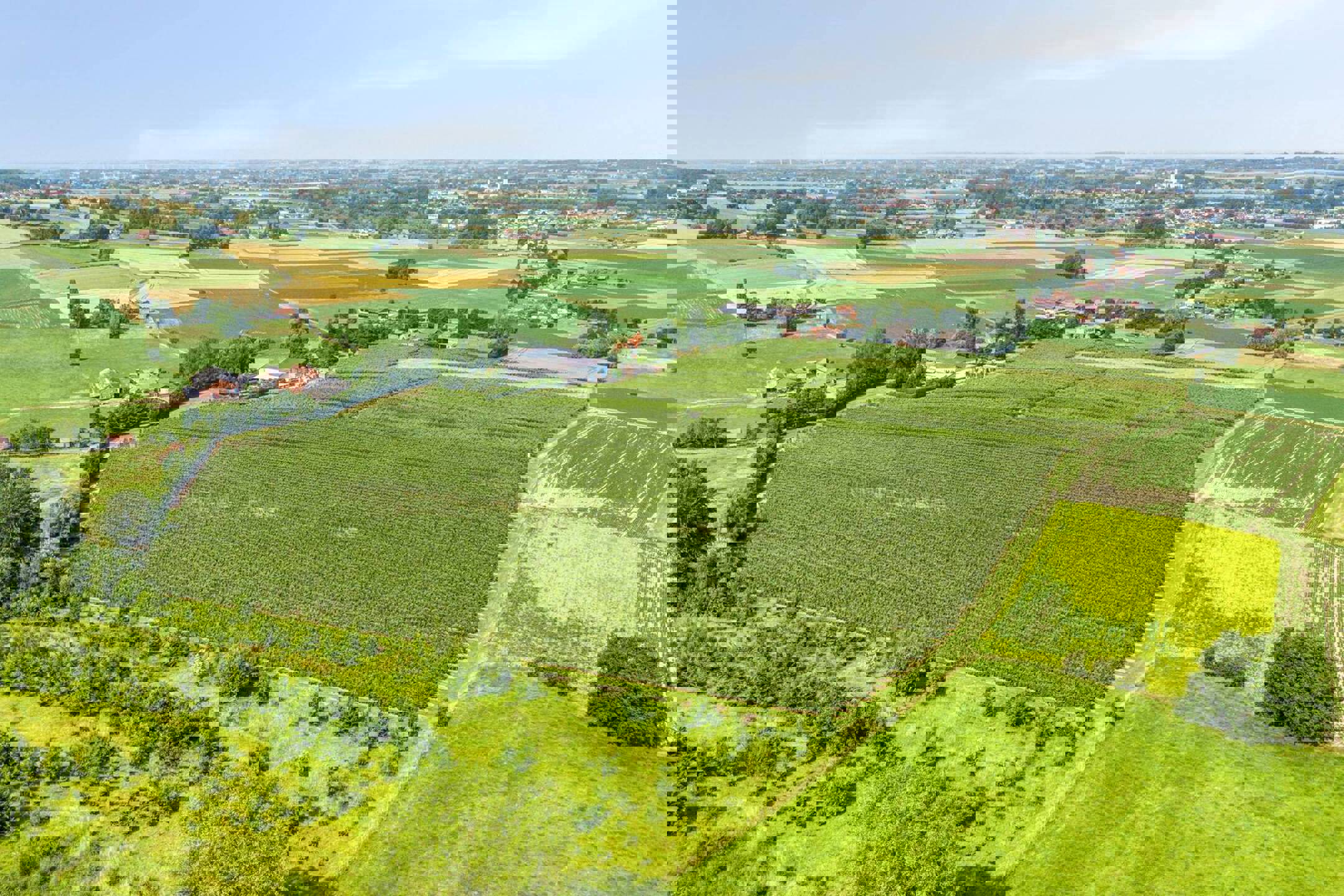 Unieke eigendom op 18 hectare te Kwaremont.  - foto 2