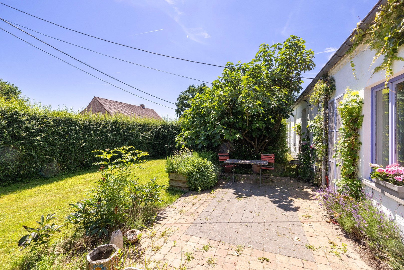 Landelijk gelegen charmewoning op 2910 m² - 4 slpks - foto 5