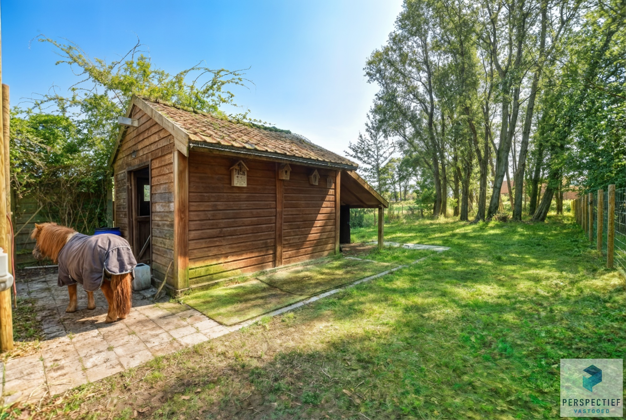 Ruime woning met tuin, weide &amp; bijgebouw gelegen in landelijke omgeving in Oedelem op  1 365 m² - foto 5