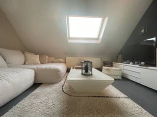 Ruim duplex-appartement te huur te Baasrode met zicht op Schelde en groot zonneterras.Welkom bij deze unieke kans om te wonen in een prachtig...