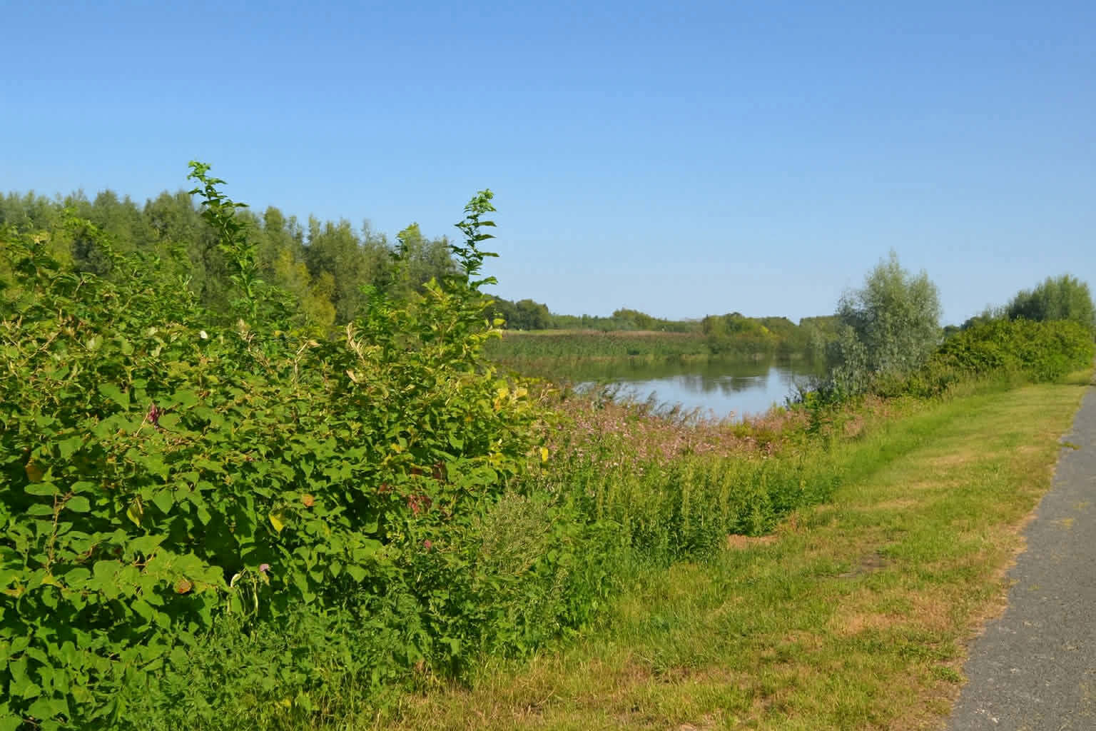 House for sale in Wichelen with 2 bedrooms - photo 5