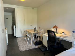 Luxueuze studio, van maar liefst 28 m² en met eigen privatief terras van 23m² in hartje Leuven nabij Grote en Oude Markt. Deze kamer bevindt zich op het gelijkvloers aan de achterkant en geniet van een prachtig uitzicht over de tuin. De studio heeft eigen sanitair (lavabo, wc en douche) en geïnstalleerde kitchenette. De studio zal ook volledig gemeubeld zijn met bureau, stoel, boekenrek, kast, dubbel bed, frigo en verduisterende rolgordijnen. Extra troef: Naast het hebben van uw eigen terras, mag elke student ook gebruik maken van de grote (7are!) gemeenschappelijke tuin. Top om te genieten of te studeren in het zonnetje, te midden het groen. Beschikbaar vanaf 15/09/2026. Huurprijs 870€ + 60€ provisie voor nutsvoorzieningen. Enkel voor studenten!