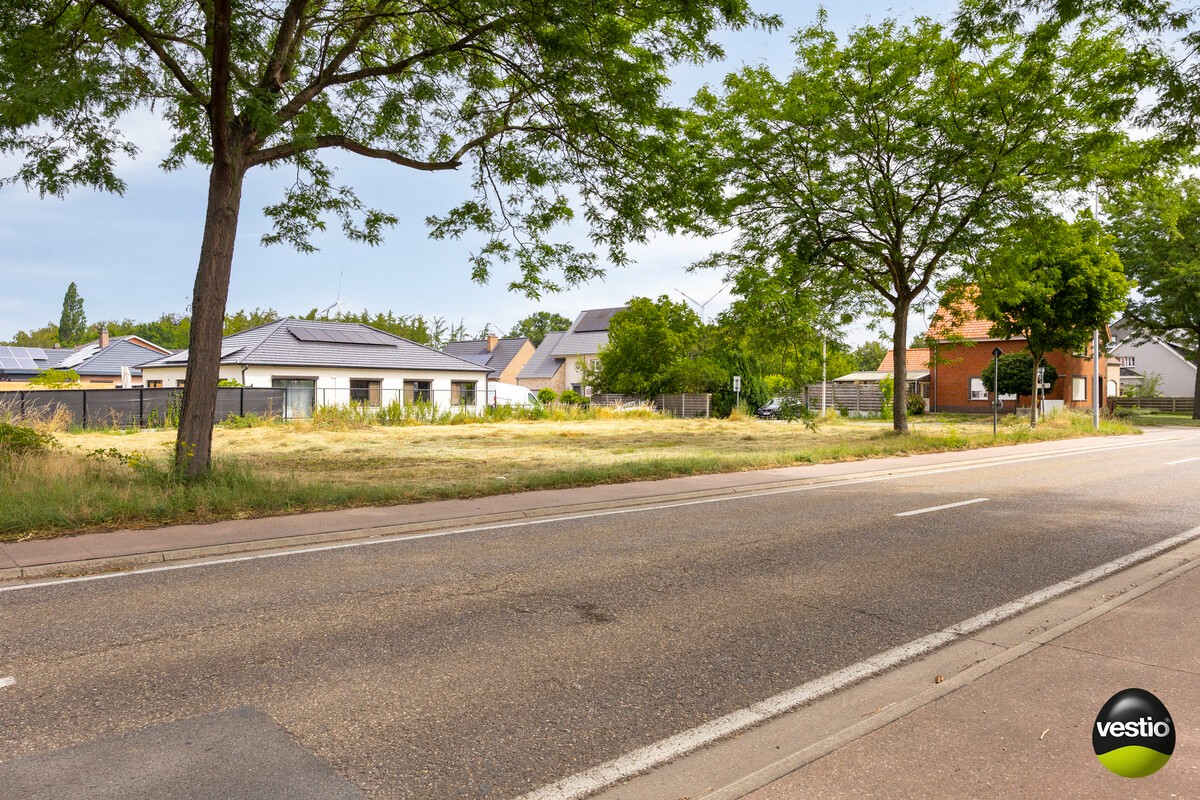 Land for sale in Tessenderlo-Ham - photo 4