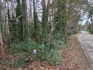 welgelegen bouwgrond, rustige villawijk te 3140 Keerbergen, 1513 m2, hogere prijsklasse, ben zelden telefonisch bereikbaar, sms of voicemail en ik neem contact 0496 98 55 79.