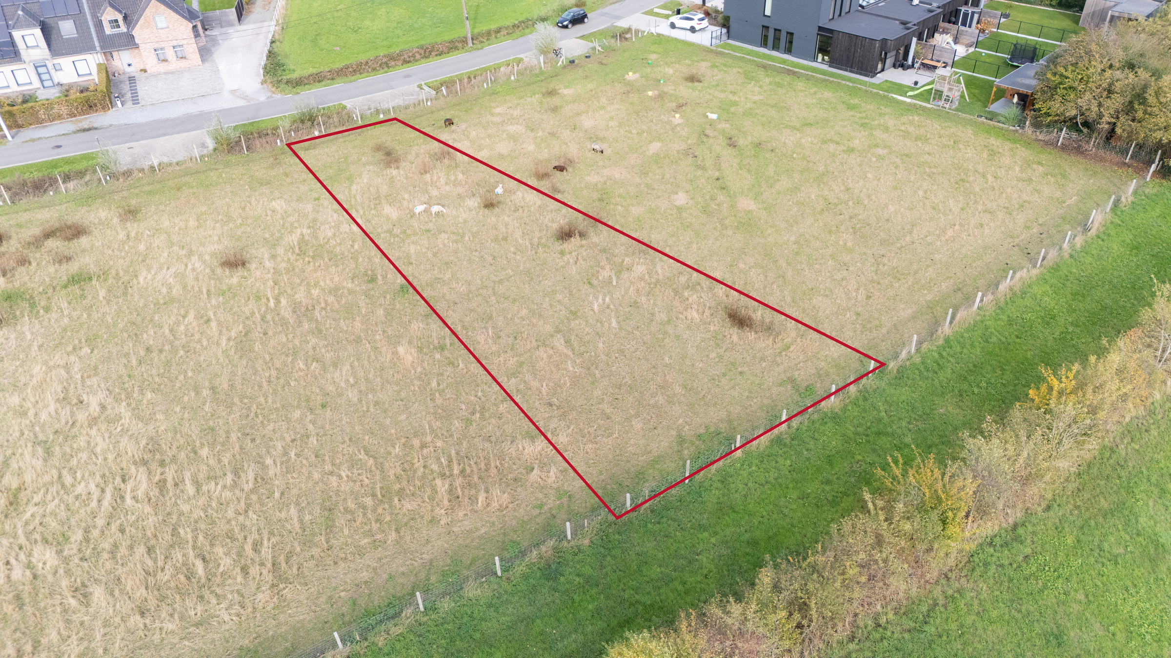 Ruim perceel te koop in Dendermonde - foto 4