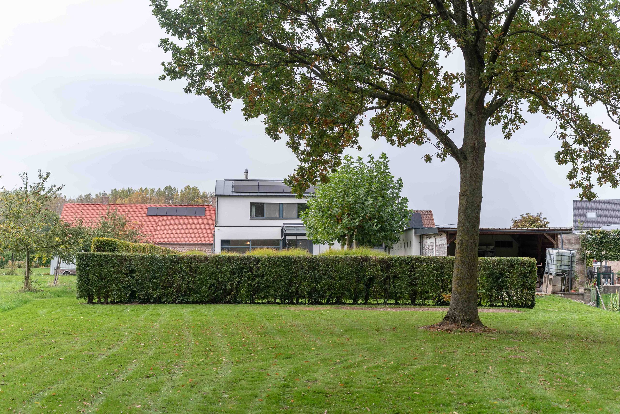 Maison à vendre à Geetbets avec 4 chambres - photo 3