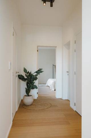 <p>Welkom in dit stijlvol gerenoveerde appartement op de tweede verdieping van een kleinschalig gebouw. Gelegen op wandelafstand van de gezellige Troonplaats geniet u hier van de perfecte mix tussen stedelijke levendigheid en bereikbaarheid. Bovendien geniet het appartement van mooie verzichten over de Konijnenweide plus extra toekomstpotentieel met Ringpark Zuid voor de deur.</p><p>Het gebouw werd in zijn totaliteit gerenoveerd:<br />V1: éénslaapkamerappartement, 75m², gebouwschil volledig gerenoveerd, intern op te frissen naar eigen wens, 249.000 euro;<br />V2: tweeslaapkamerappartement, 75m², volledig gerenoveerd, 319.000 euro;<br />V3: tweeslaapkamerappartement, 70m², volledig gerenoveerd, 319.000 euro.</p><p>Aan de voorzijde bevindt zich de lichtrijke leefruimte, waar de hoge plafonds en grote raampartijen zorgen voor een aangename, open sfeer. Dankzij de gunstige oriëntatie geniet u hier volop van de namiddag- en avondzon die rechtstreeks de leefruimte binnenvalt.</p><p>Aansluitend vindt u een moderne keuken, uitgerust met hedendaagse kwaliteitsvolle toestellen. De ideale plek voor wie graag kookt en gezellig tafelt.</p><p>Het appartement beschikt over een zeer ruime slaapkamer en een tweede ruimte die perfect kan dienen als bureau, dressing of startende kinderkamer. Verder is er een stijlvolle badkamer aanwezig, evenals een aparte berging met voorzieningen voor wasmachine en droogkast.</p><p>Tot slot is er een aparte kelderberging van ca. 8 m² inbegrepen.</p><p>Op de gelijkvloerse verdieping kan optioneel een parkeerplaats aangekocht worden aan €30.000.</p><p>Troeven:<br />Strategische ligging: vlotte verbinding in en uit de stad, gecombineerd met interne parkeermogelijkheid;<br />Mooie verzichten over de Konijnenweide, Toekomstpotentieel met Ringpark Zuid voor de deur;<br />Totaalrenovatie met nieuwe technieken in kelder, schachten en appartement, inclusief nieuwe chapevloeren en pleisterwerken;<br />Gunstig EPC en asbestveilig;<br />Kleinschalig gebouw;<br />Instapklaar appartement met kwalitatieve afwerking.</p>