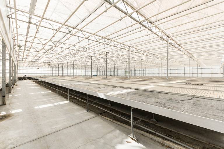 Welgelegen serrecomplex, ideaal voor agrarische activiteiten - foto 11