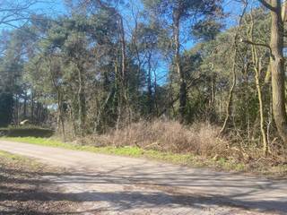 Land for sale in Balen