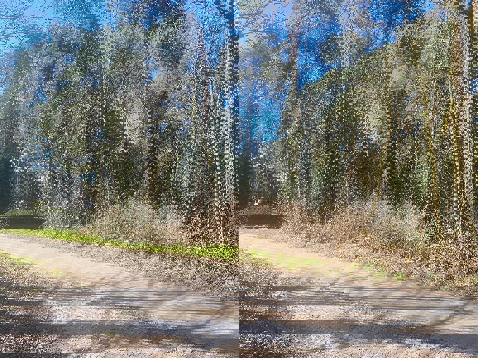 Land for sale in Balen - photo 1