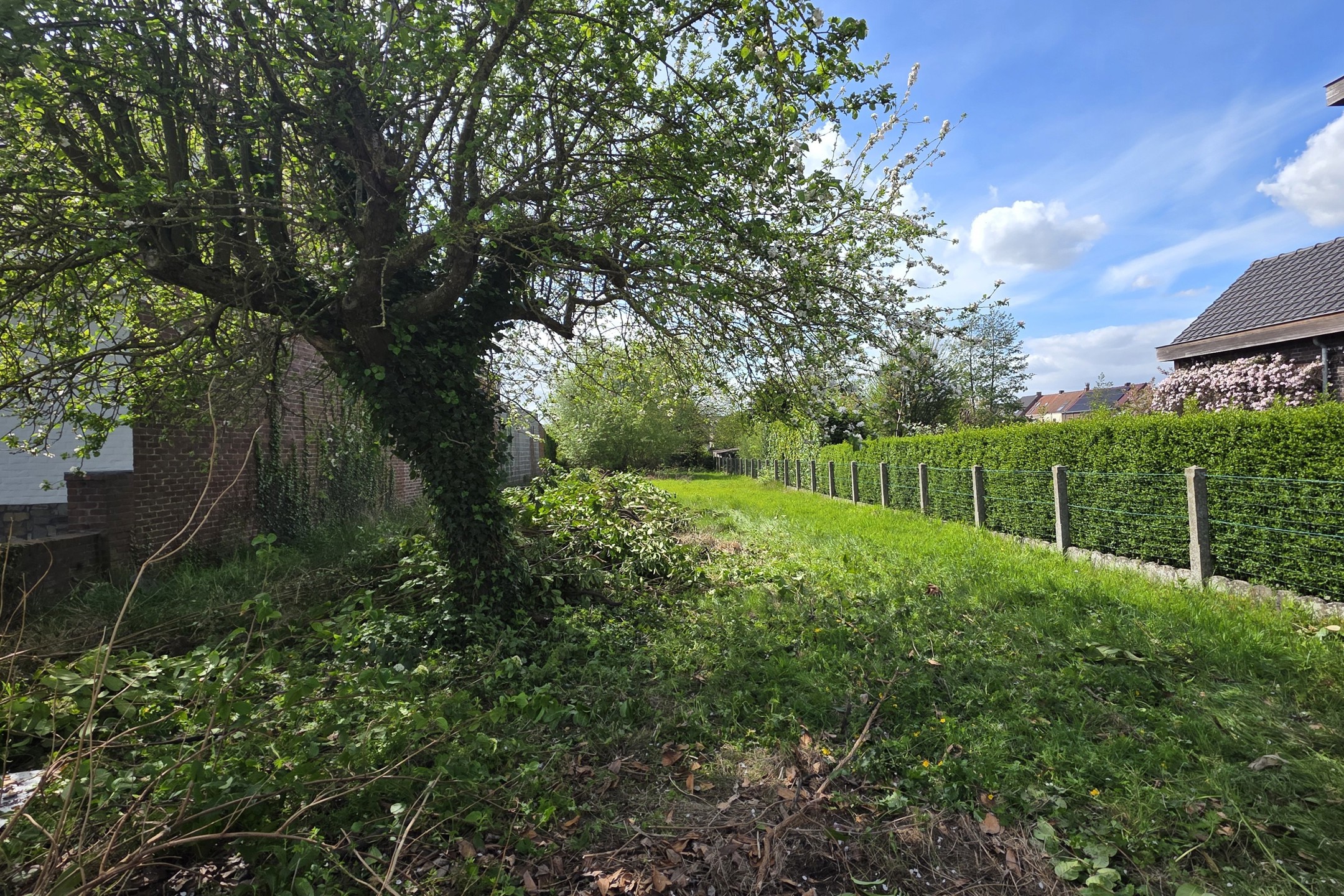 Rustig gelegen bouwgrond voor HOB nabij Kluisbos - foto 4