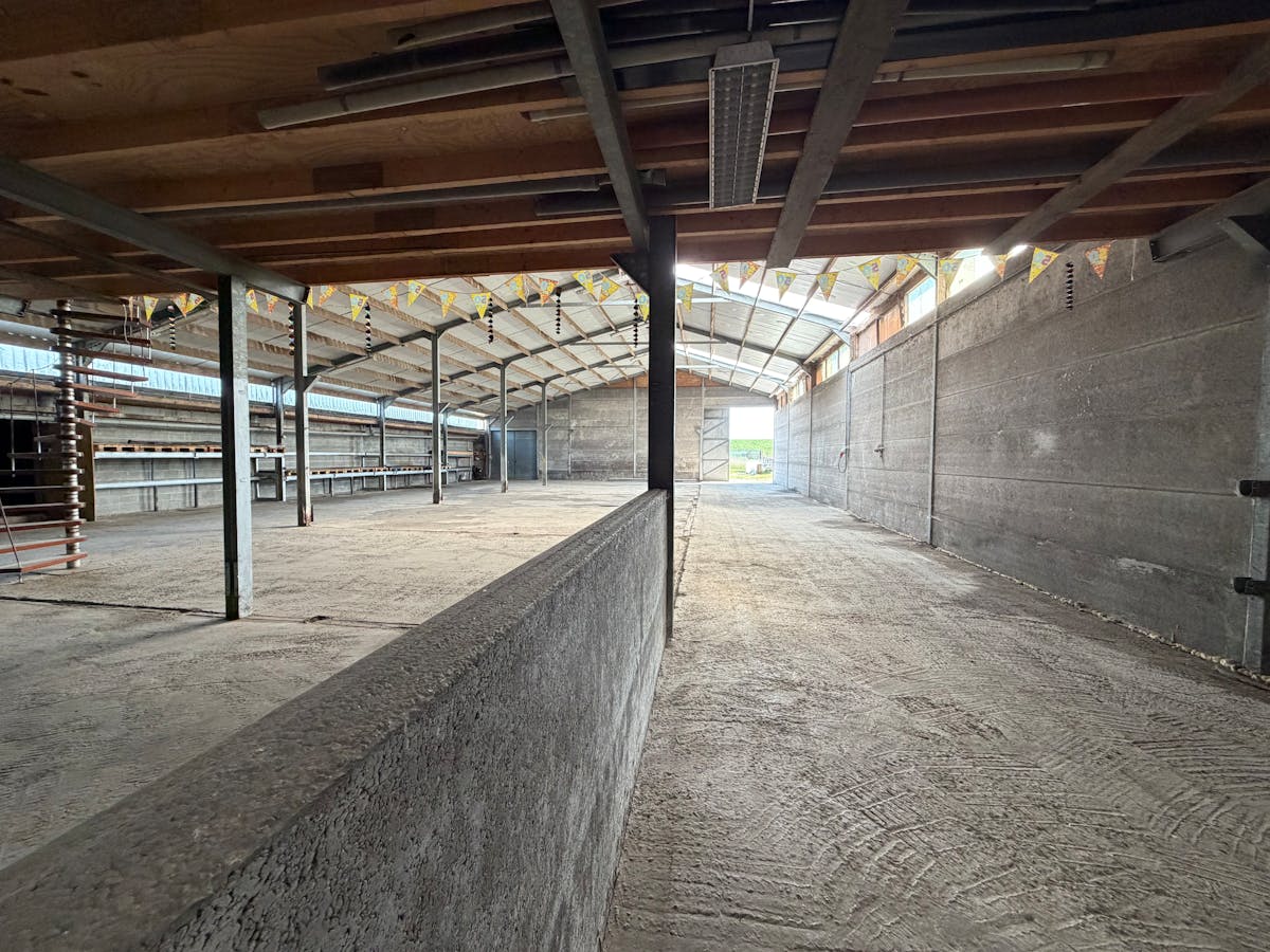 Magazijn (ca. 530 m²) te huur in Kieldrecht - foto 4