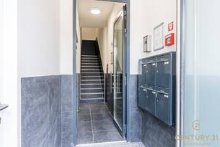 Appartement à louer à Turnhout