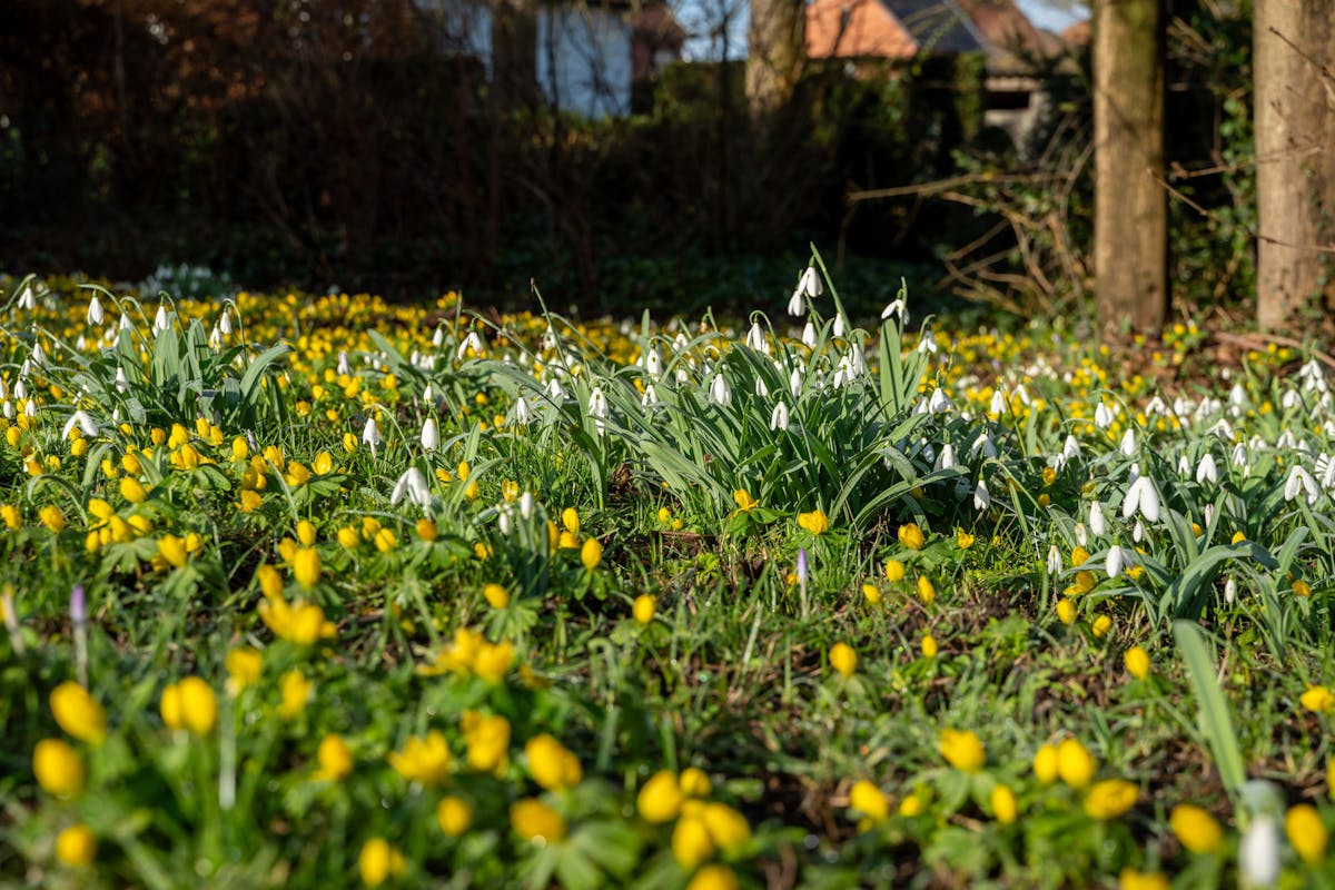 Karaktervolle kasteelvilla op uitzonderlijk domein - foto 4
