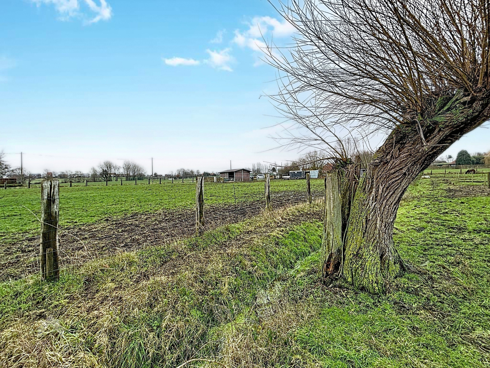 Weiland van 18.035 m2 met stal en oprit - foto 4