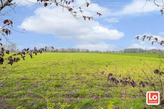 Deze rustig en landelijk gelegen open woning is volledig te renoveren en valt ook onder de mogelijkheden afbraak/heropbouw aan 6% BTW. De...