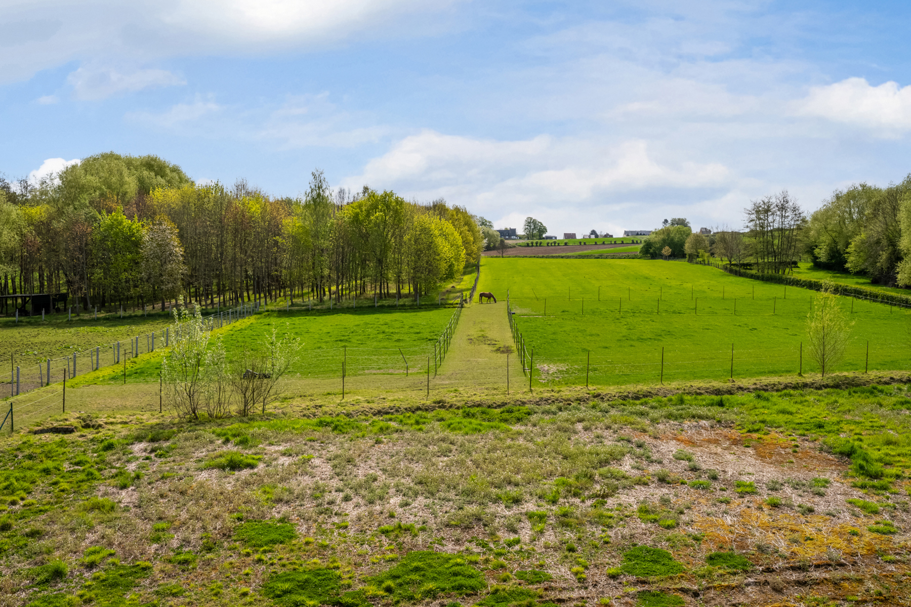 Maison à vendre à Grammont avec 3 chambres - photo 2