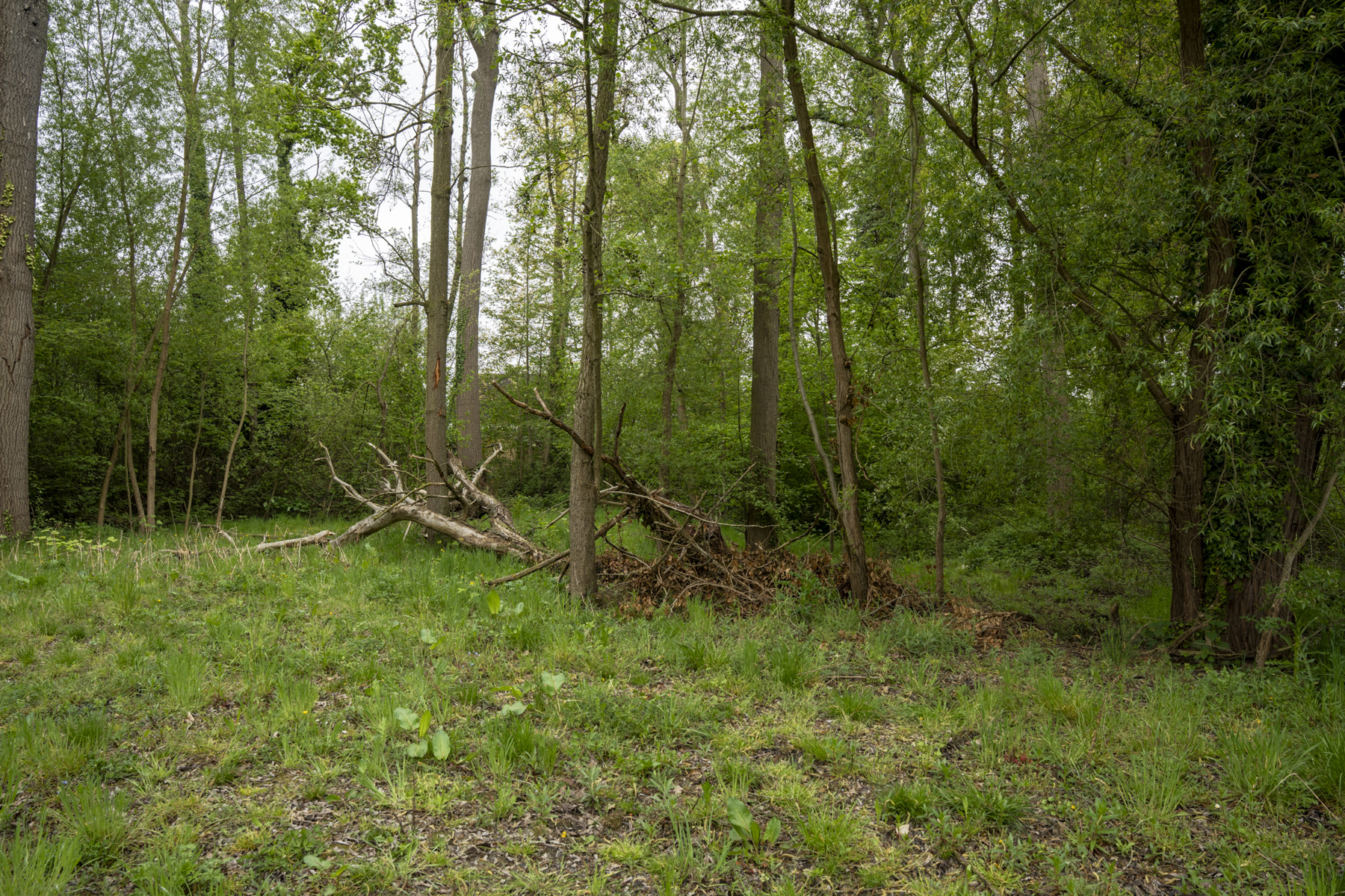 Huis te koop in Kampenhout met 3 slaapkamers - foto 5