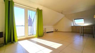 <p><span>Knus, ruim dakappartement in het centrum van Helkijn. Aangenaam dorpsplein met eet-, wandel- en fietsgelegenheid in de directe omgeving. Omvat: 1 slaapkamer, ruime leefruimte, terras, berging, toilet, badkamer met douche.</span></p><p><span>Huurprijs: 500 euro/maand.</span></p><p><span>syndic: 25 euro/maand.<br /><br /></span></p>