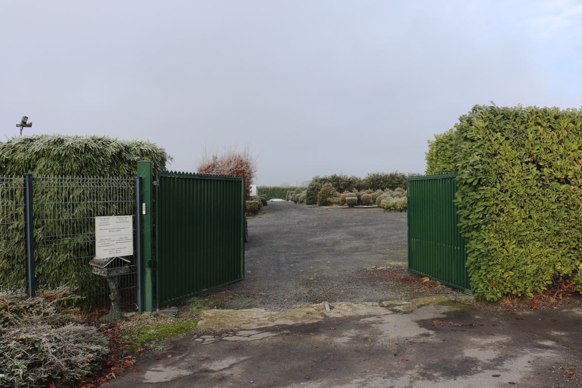 Commercial for sale in Zwevegem - photo 3