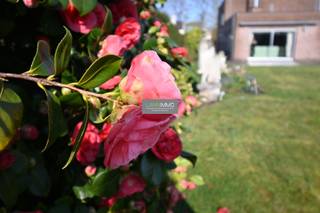 House for sale in Nazareth-De Pinte