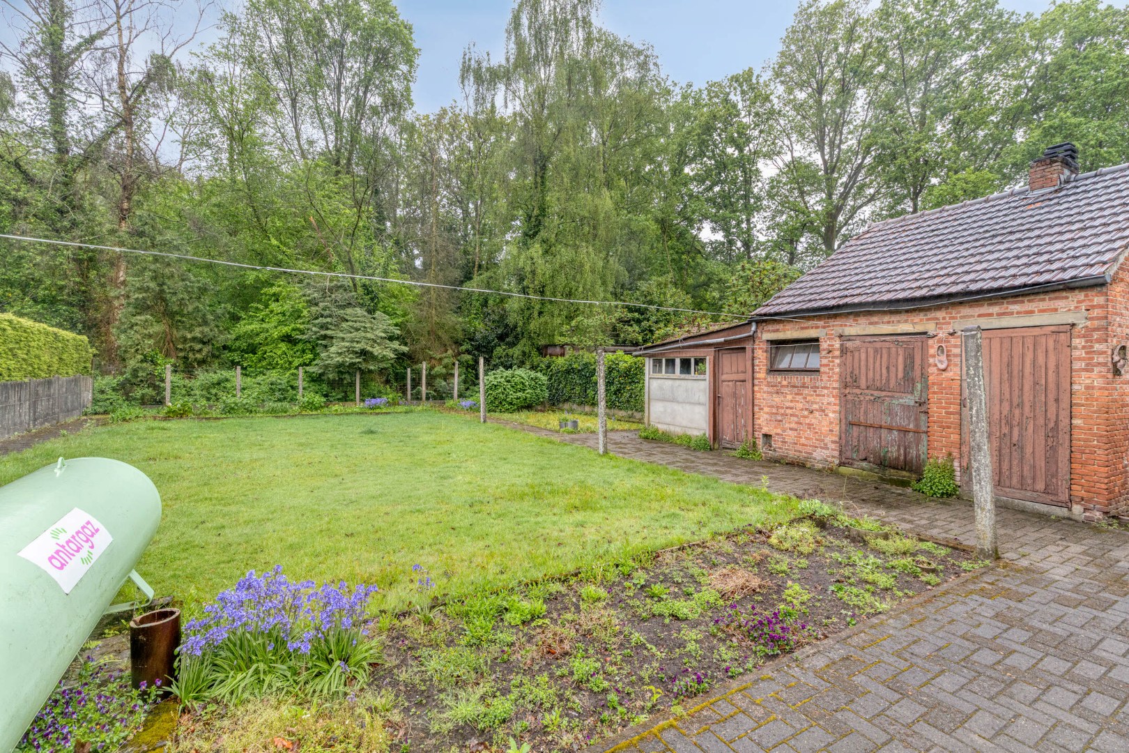 Te renoveren halfopen woning met 3/4 slpks op 542 m² (zuidgericht) te St.-Jozef-Olen ! - foto 3