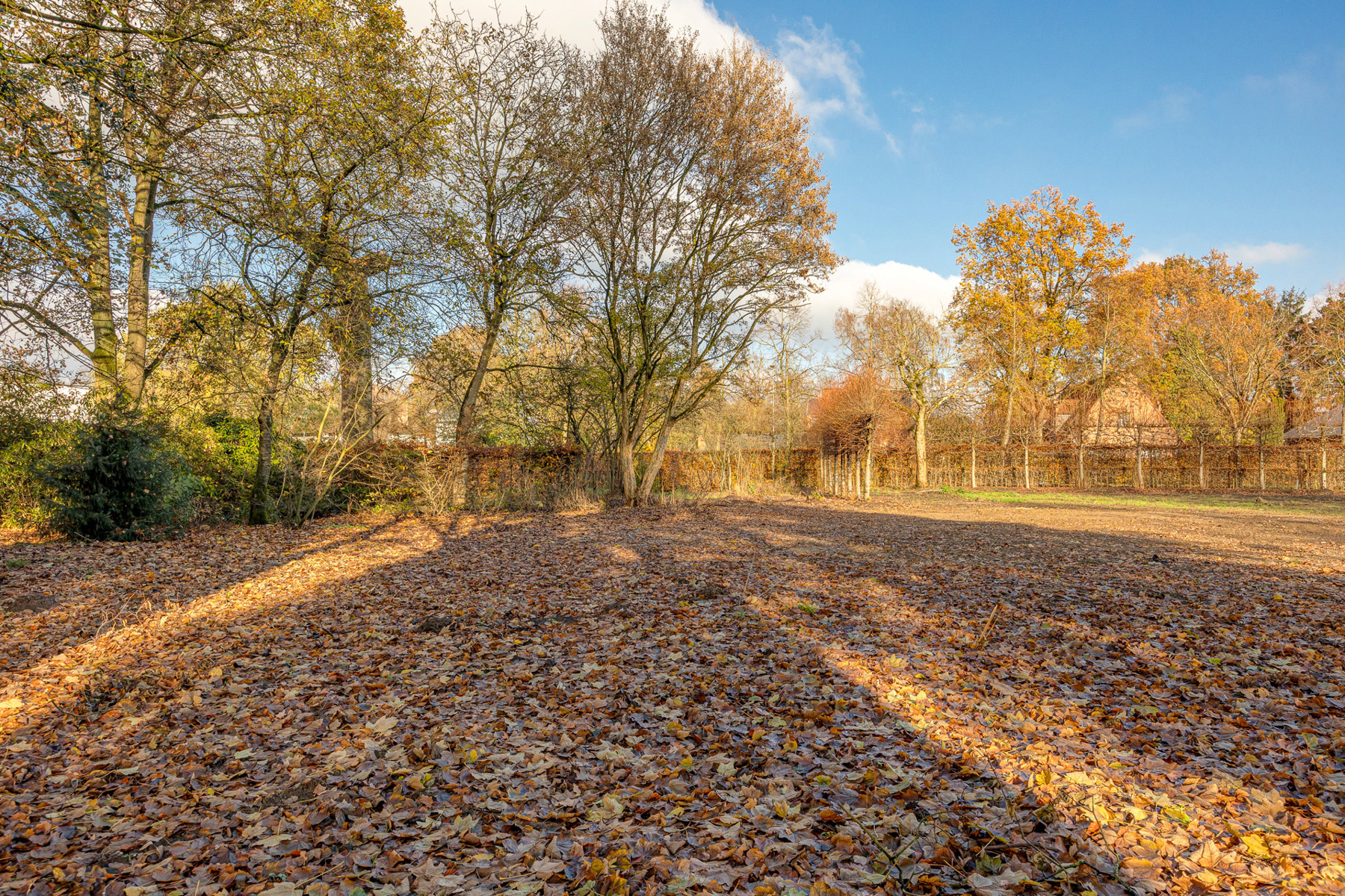 PARK VAN SCHOTEN | VILLAGROND  - foto 4
