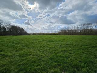 Groot perceel weideland op korte afstand van de Sint Adriaansstraat en bereikbaar via het Schoonbroek. Het perceel heeft een oppervlakte van ± 1ha...