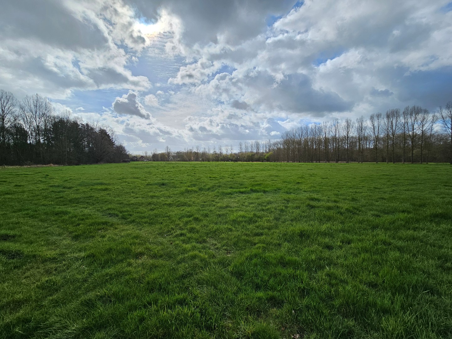 Grond te koop in Haacht - foto 3