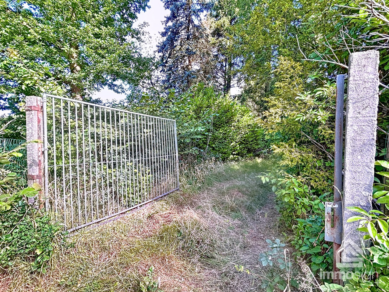 Uniek stuk grond van 9.050 m² in Grote-Brogel/Peer! - foto 3