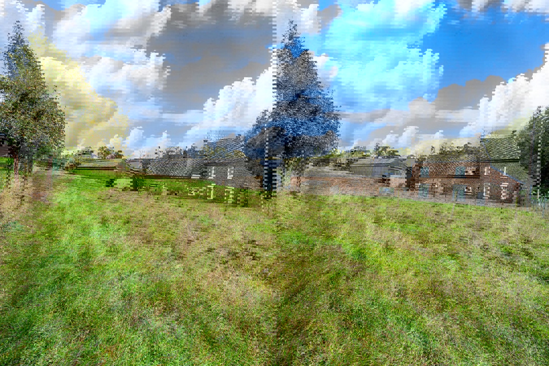 Land for sale in Burdinne - photo 3