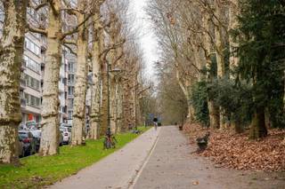 Wonen in Gent was nog nooit zo makkelijk. In dit volledig gerenoveerde, lichtrijke appartement aan de Koningin Astridlaan combineer je comfort,...