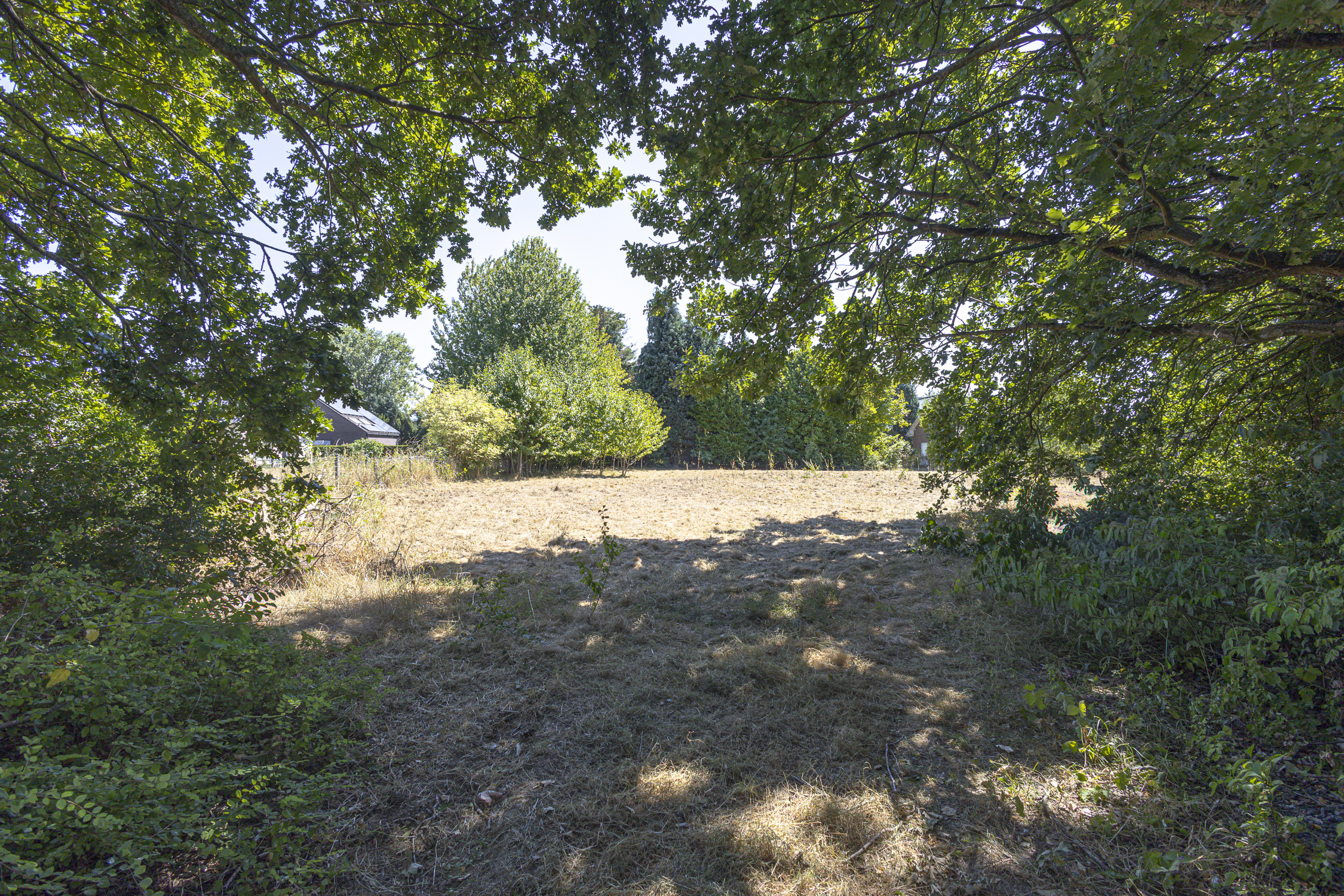 Exclusieve bouwgrond voor villa in het groen. - foto 5