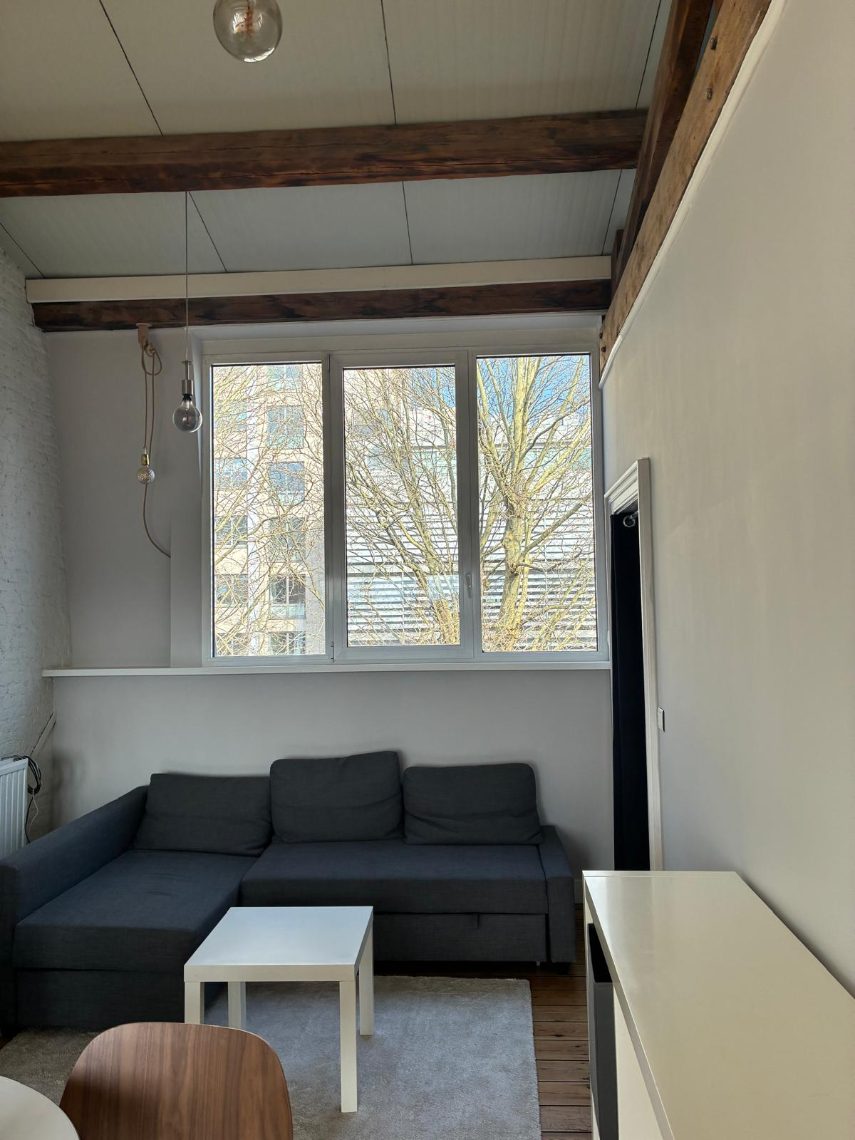 Appartement te huur in Antwerpen met 1 slaapkamer - foto 5