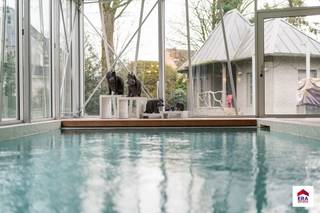 Te koop: gerenoveerde open bebouwing in Berchem-Sainte-Agathe, op een zuidgericht perceel van 14a79ca.Deze luxevilla uit 1965 werd volledig vernieuwd...