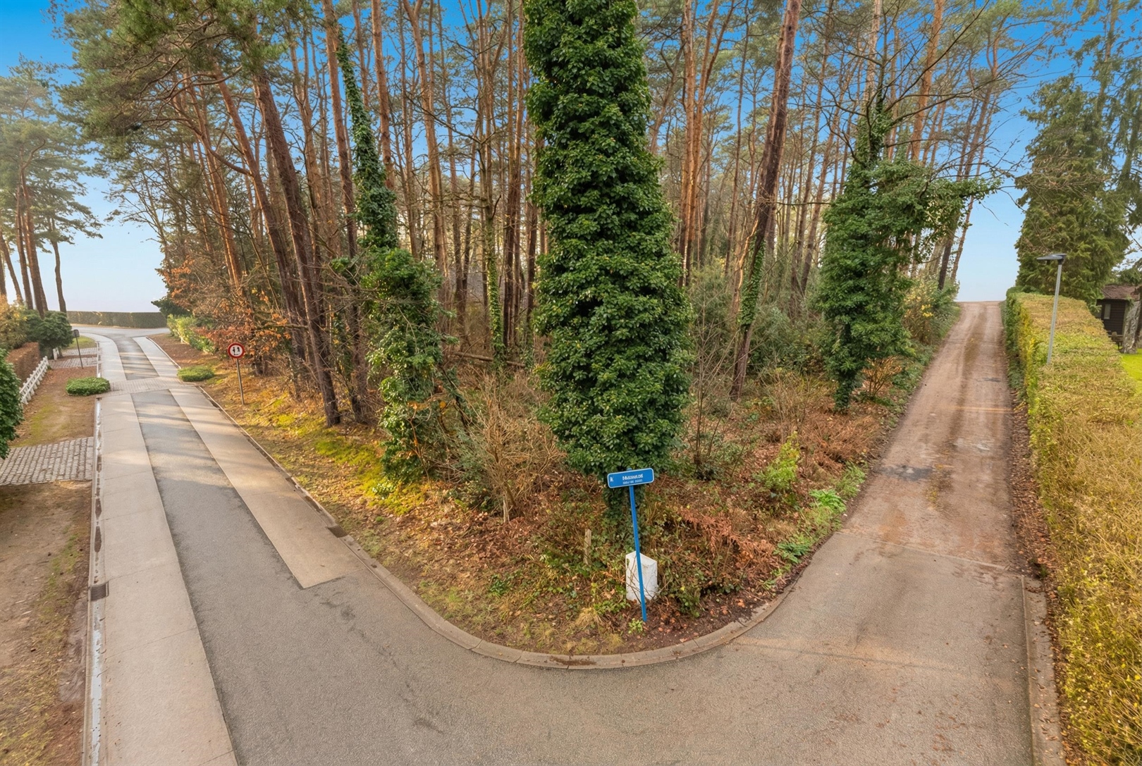 Residentieel gelegen bouwgrond - foto 5