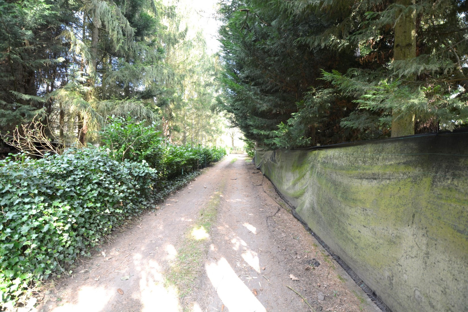 PERCEEL RECREATIEGROND VAN 1.610 m² - foto 3